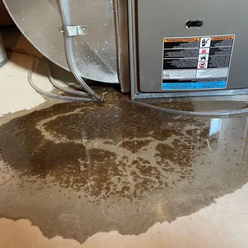 Pipe Burst and Leak Restoration in Fife Heights, WA