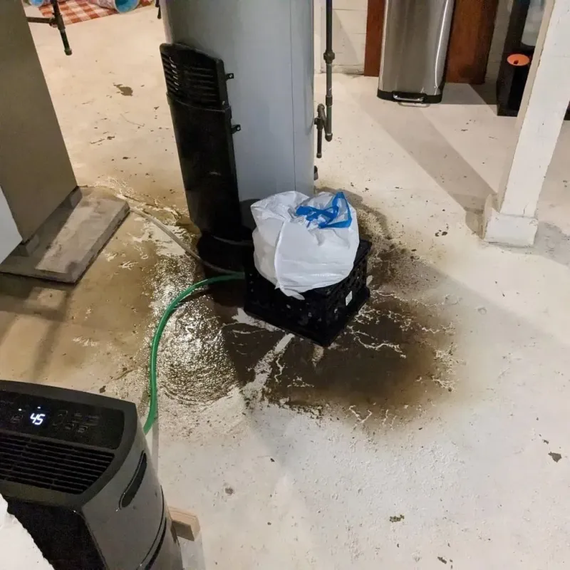 Sewage Backup Cleanup Service in Fife Heights, WA
